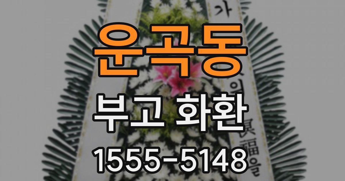 운곡동 부고 화환