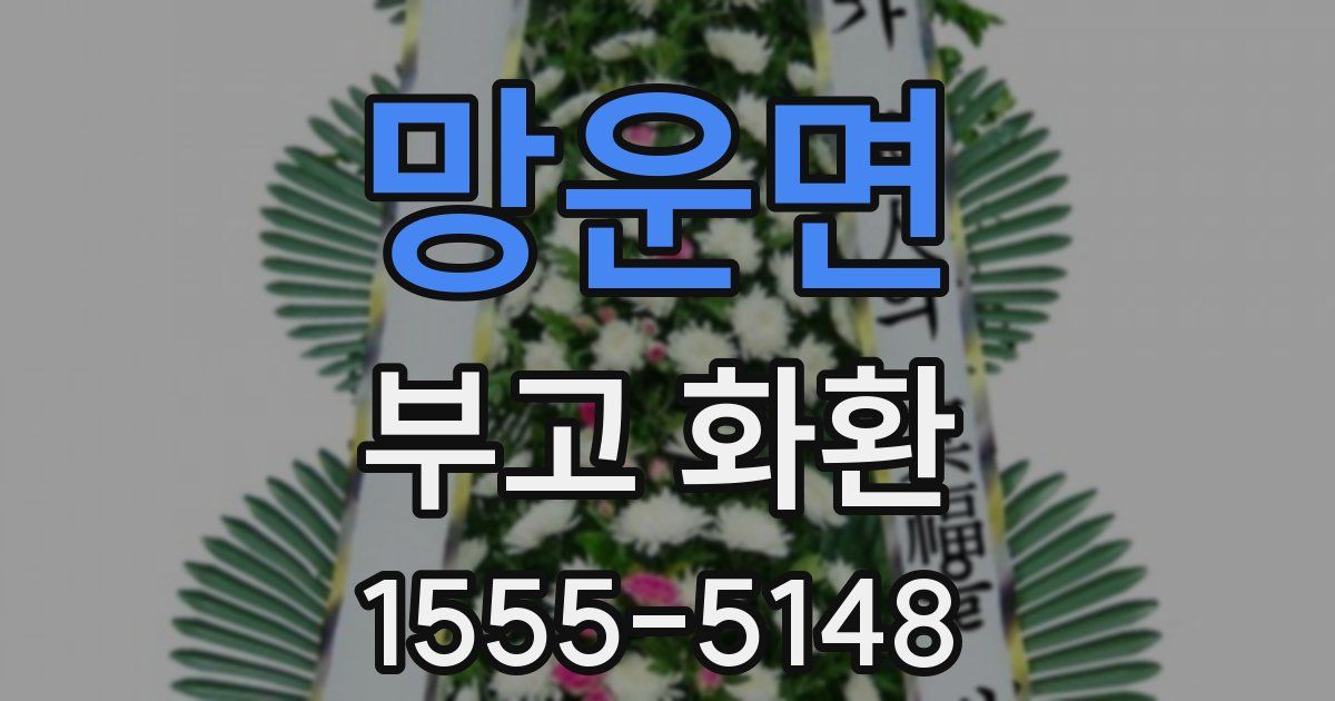망운면 부고 화환