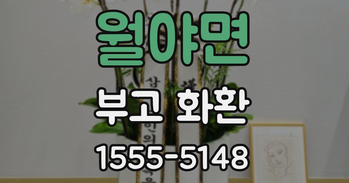 월야면 부고 화환