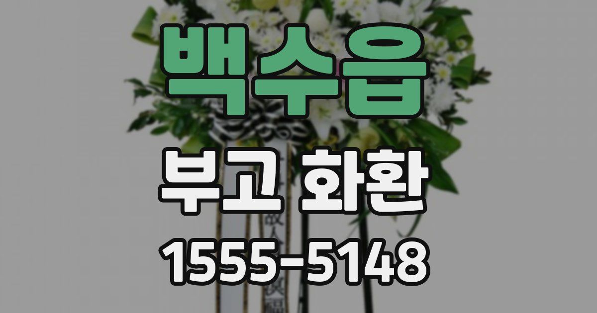 백수읍 부고 화환