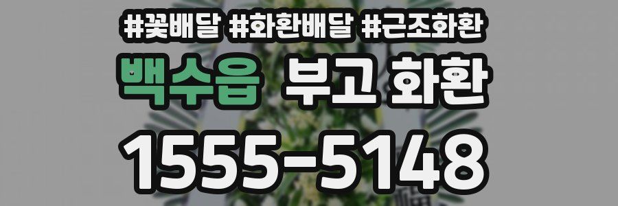 백수읍 부고 화환