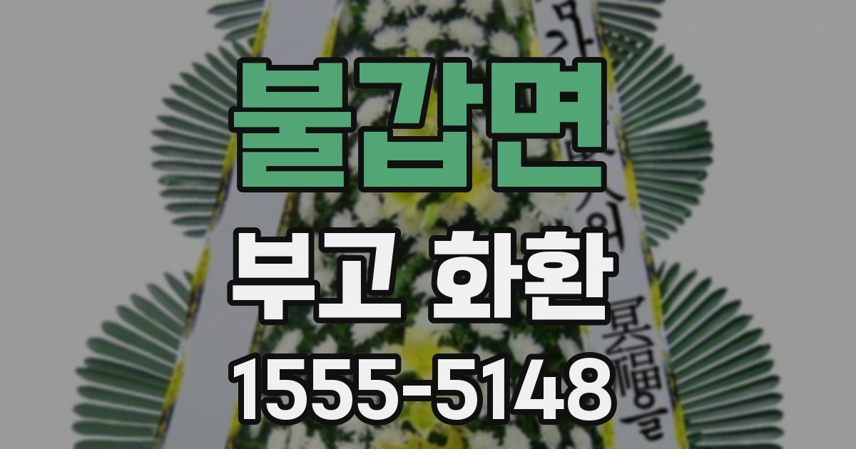 불갑면 부고 화환