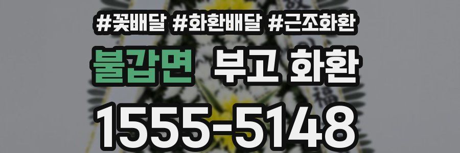 불갑면 부고 화환