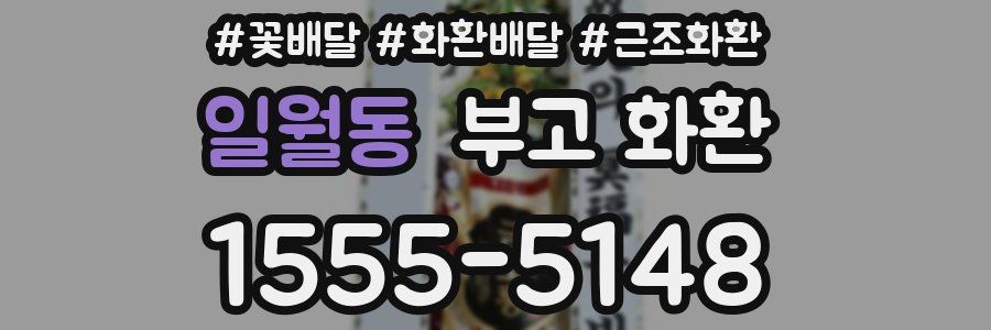 일월동 부고 화환