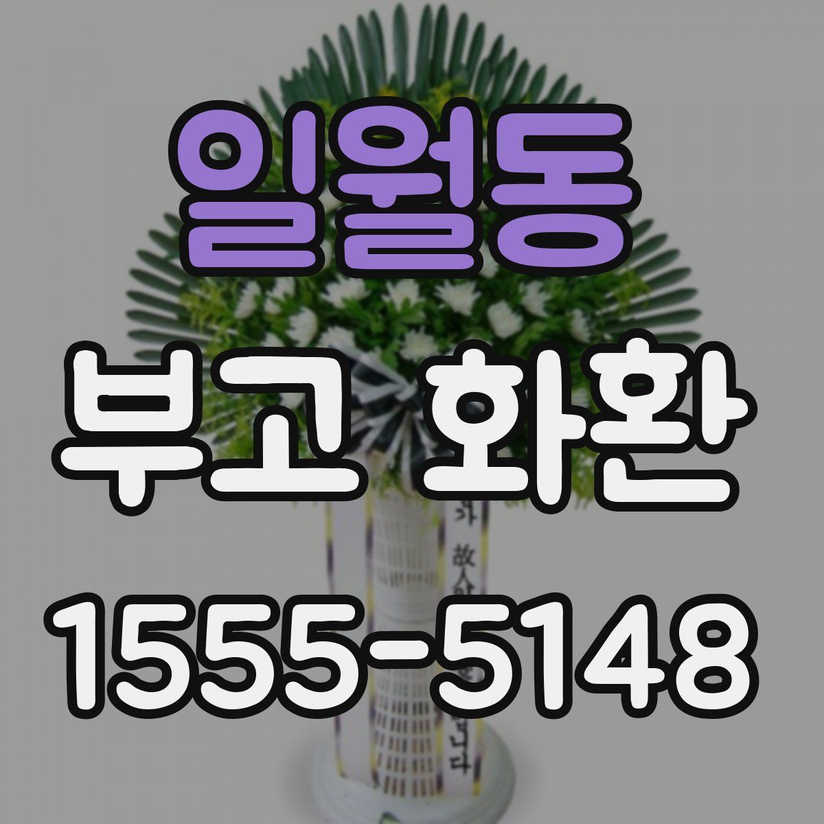 일월동 부고 화환