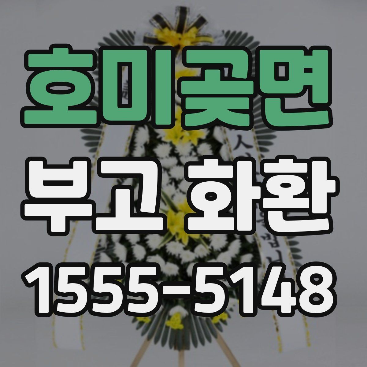 호미곶면 부고 화환 비교할 때 유용한 기준