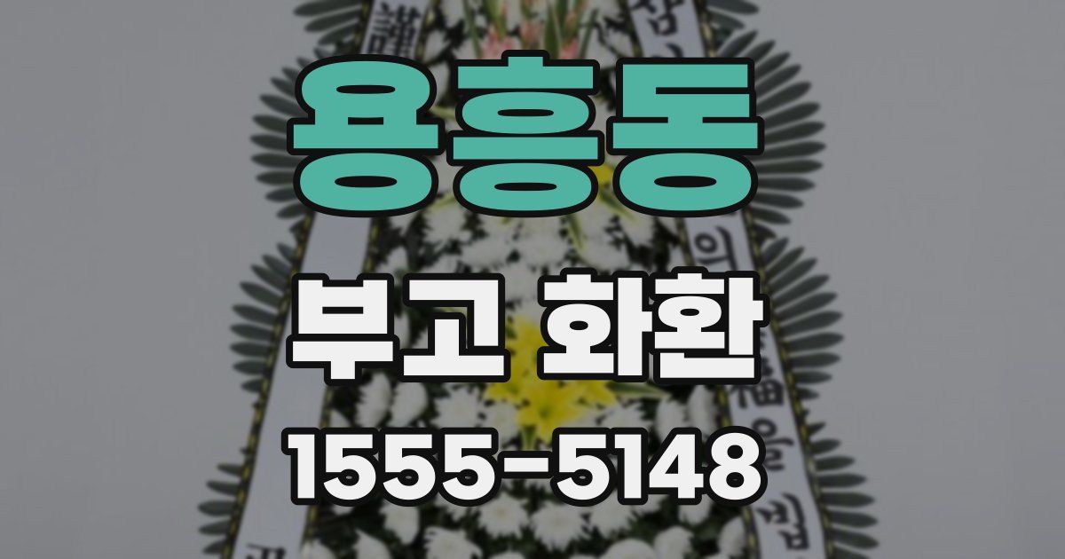 용흥동 부고 화환