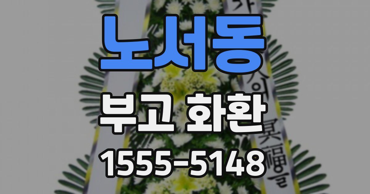 노서동 부고 화환