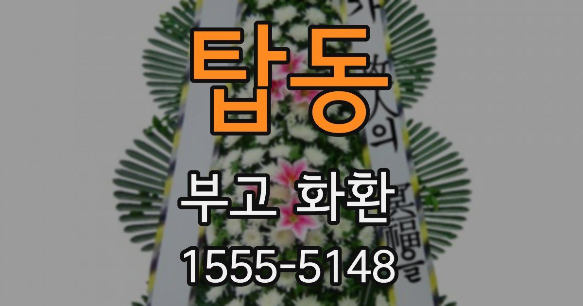 탑동 부고 화환
