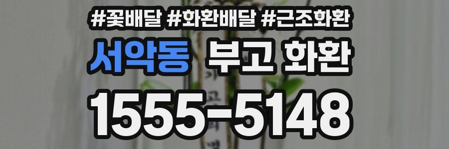 서악동 부고 화환