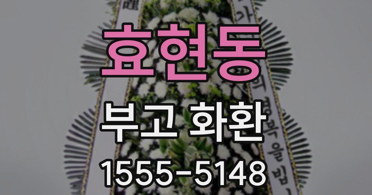 효현동 부고 화환