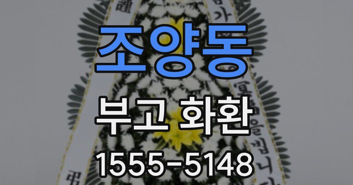 조양동 부고 화환