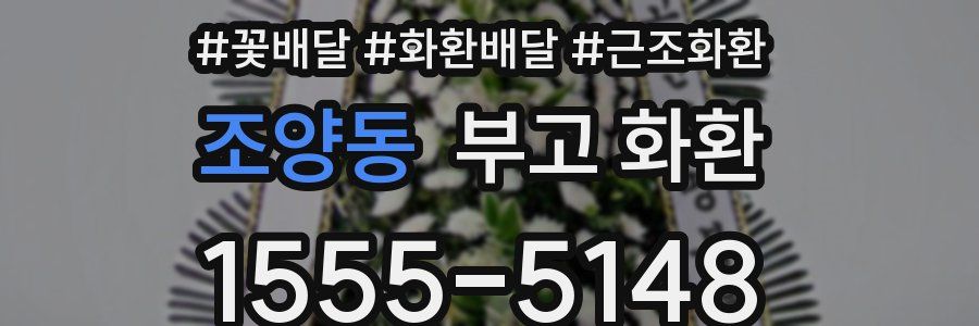 조양동 부고 화환