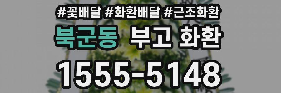 북군동 부고 화환