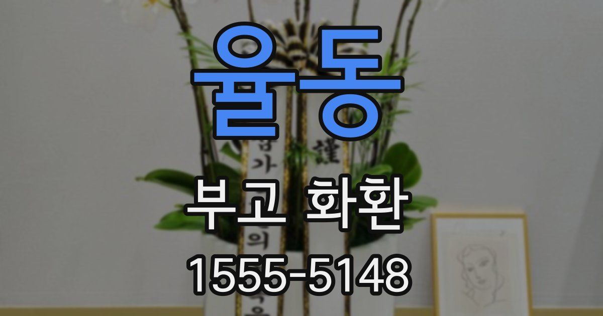 율동 부고 화환