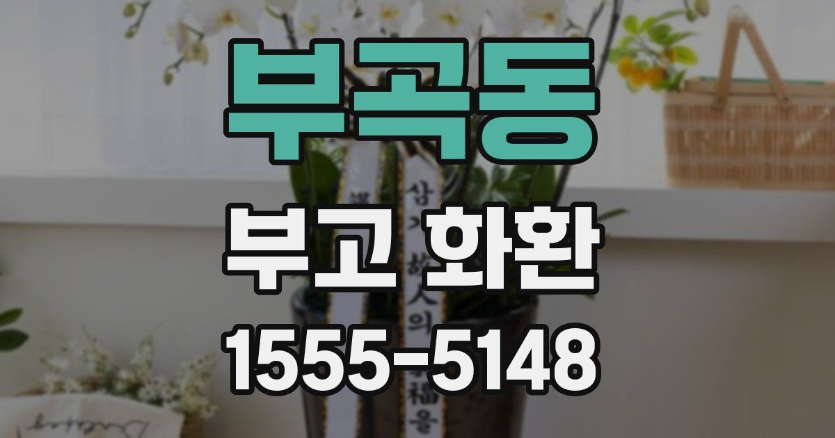 부곡동 부고 화환