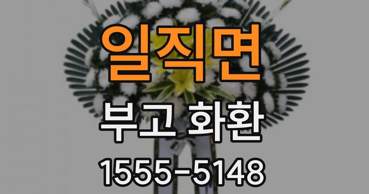 일직면 부고 화환