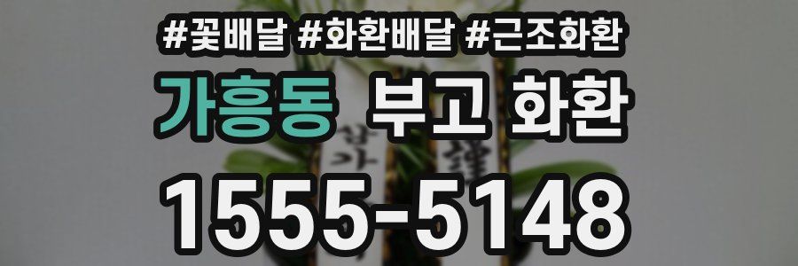 가흥동 부고 화환