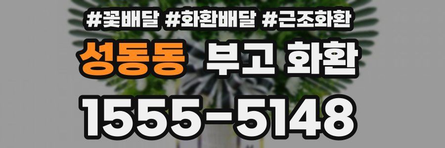 성동동 부고 화환