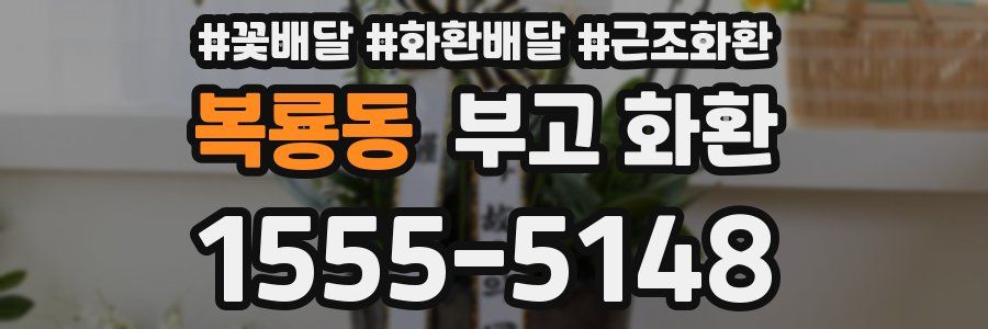 복룡동 부고 화환