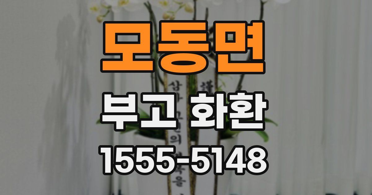 모동면 부고 화환