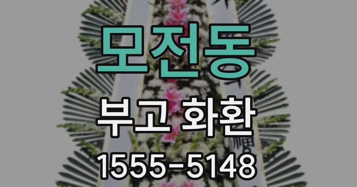 모전동 부고 화환