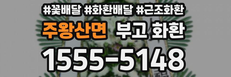 주왕산면 부고 화환