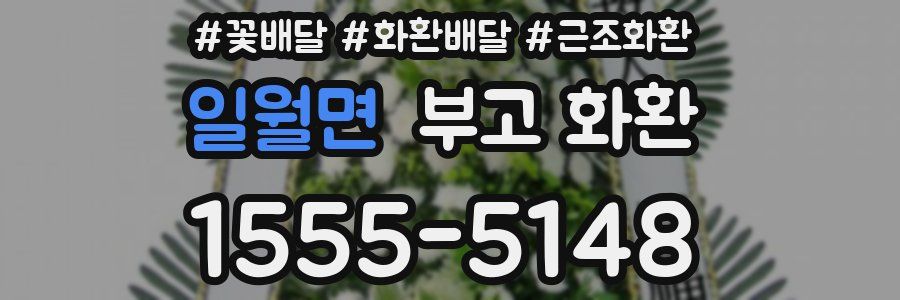 일월면 부고 화환