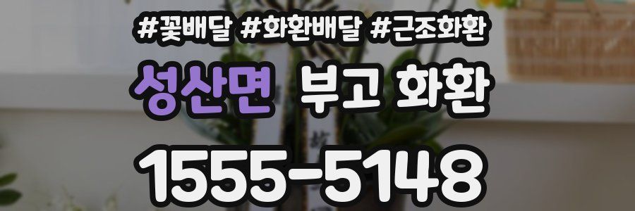 성산면 부고 화환