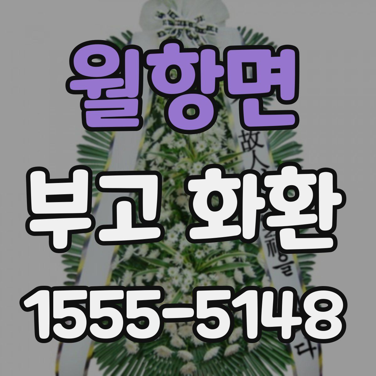 월항면 부고 화환