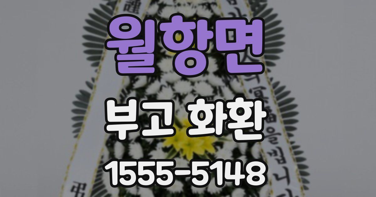 월항면 부고 화환