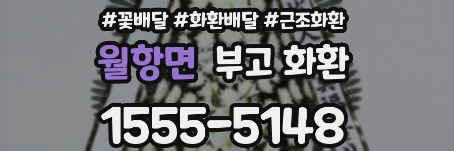 월항면 부고 화환
