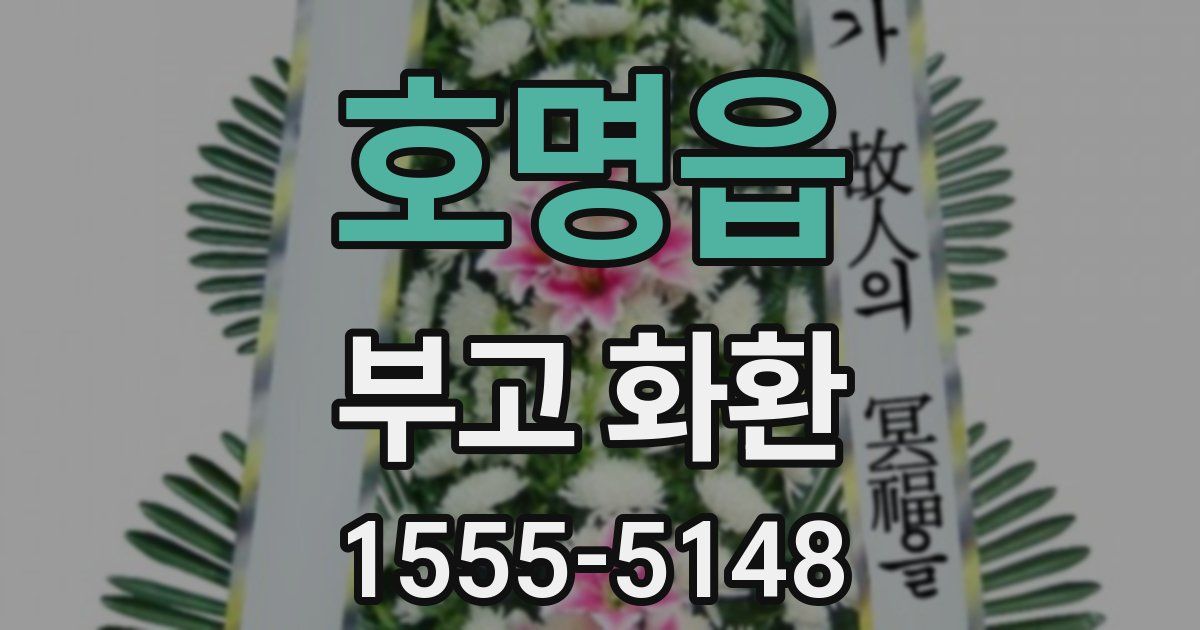 호명읍 부고 화환