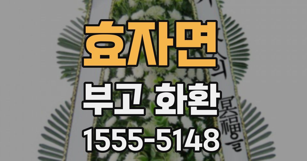 효자면 부고 화환