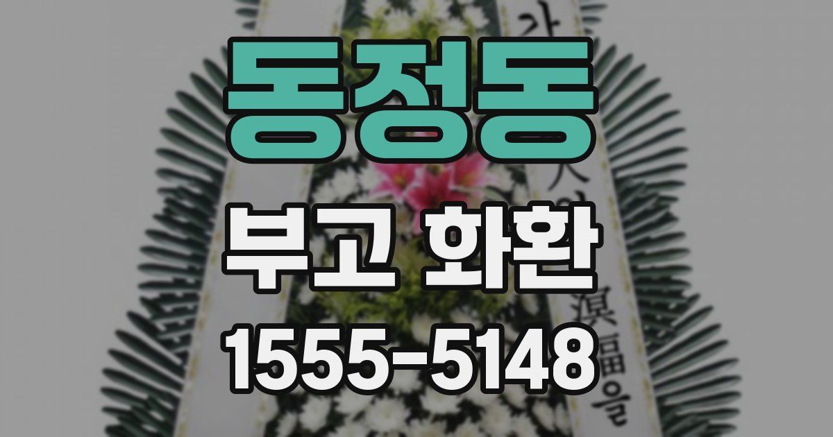 동정동 부고 화환