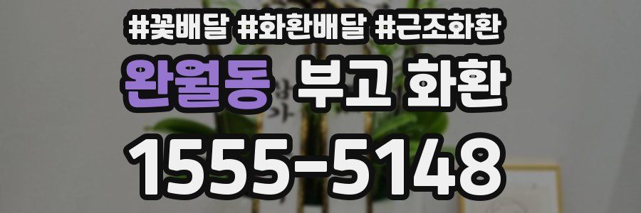완월동 부고 화환