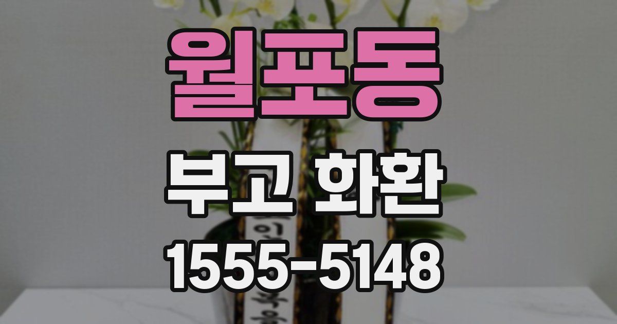 월포동 부고 화환