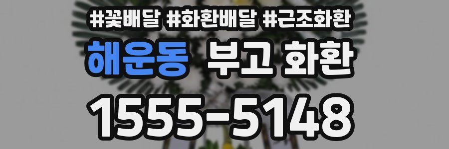 해운동 부고 화환