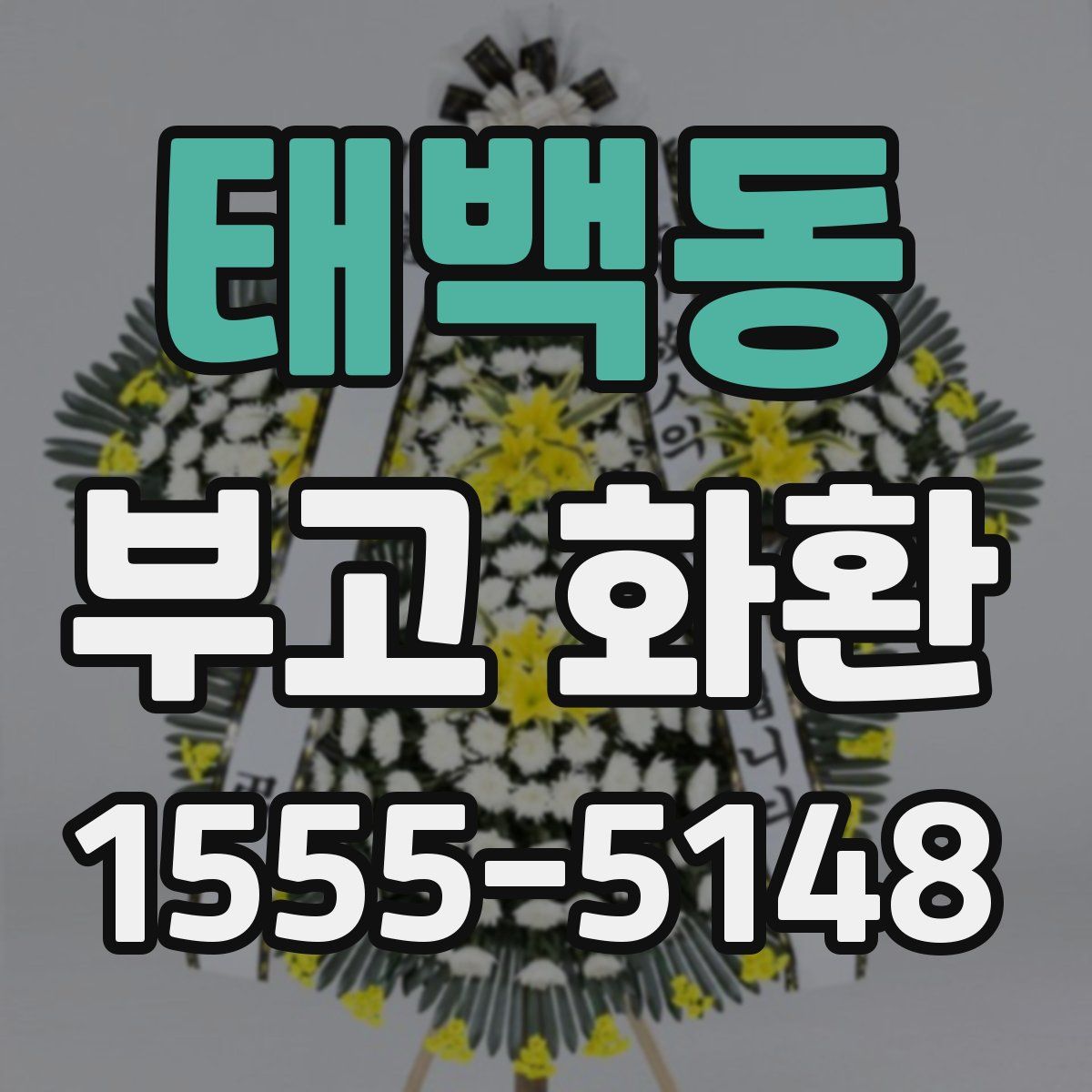 태백동 부고 화환