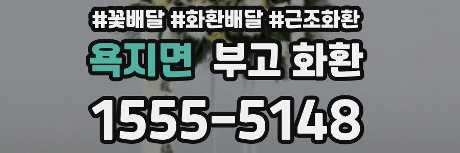 욕지면 부고 화환