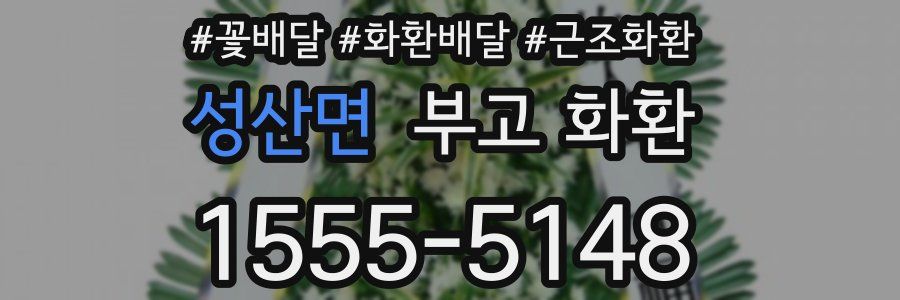 성산면 부고 화환