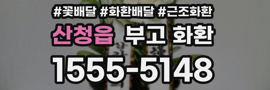 산청읍 부고 화환