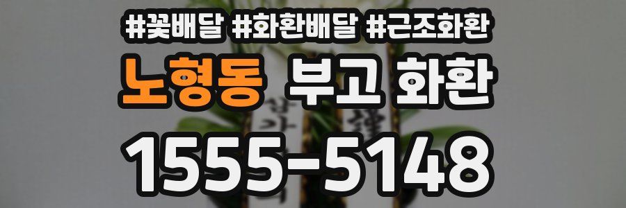 노형동 부고 화환