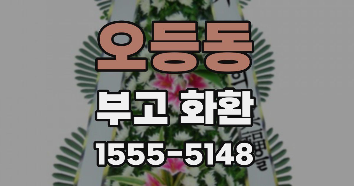 오등동 부고 화환