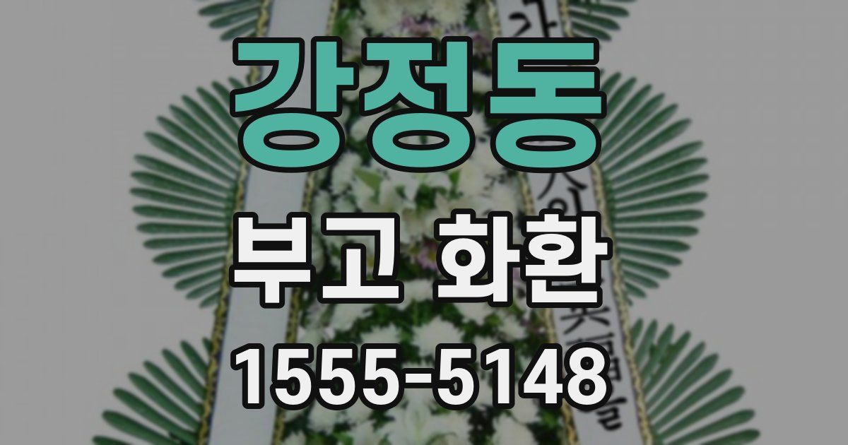 강정동 부고 화환