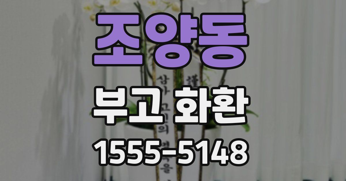 조양동 부고 화환