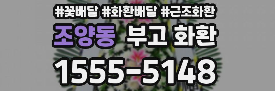 조양동 부고 화환