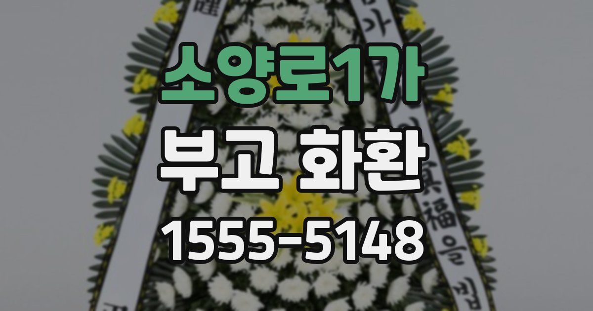 소양로1가 부고 화환
