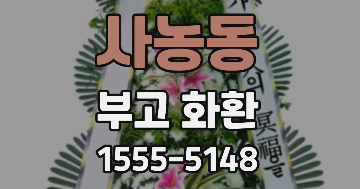 사농동 부고 화환
