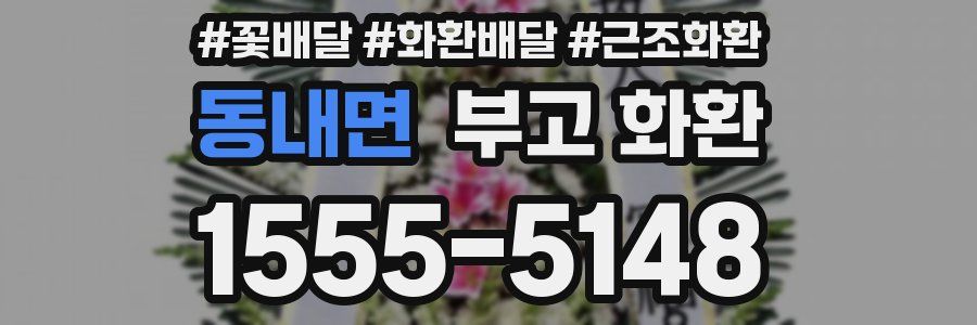동내면 부고 화환